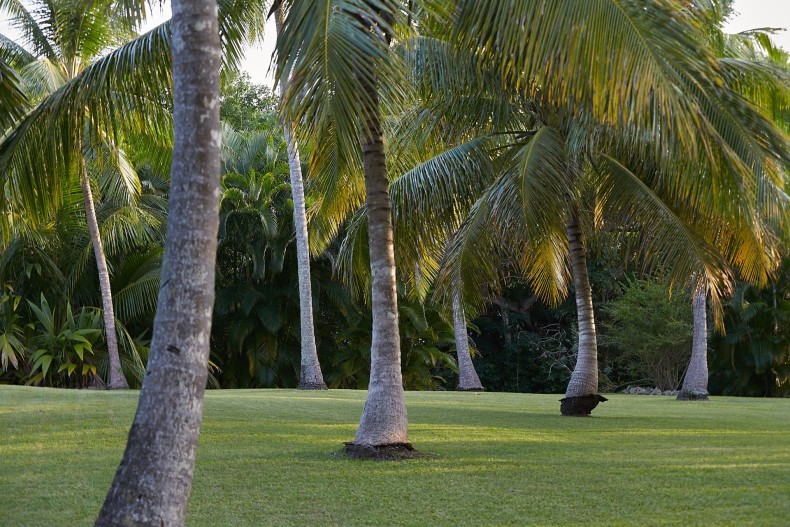 Daiquiri FINAL NERON 9.jpg